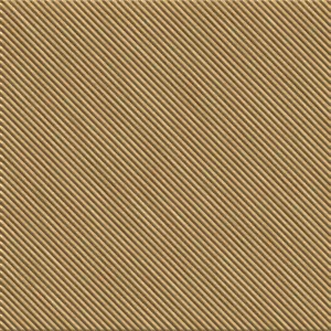 pattern coyote