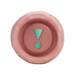 JBL Flip 7 Pink